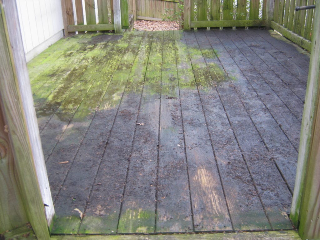 Really dirty deck, covered in mold, algae and grime.