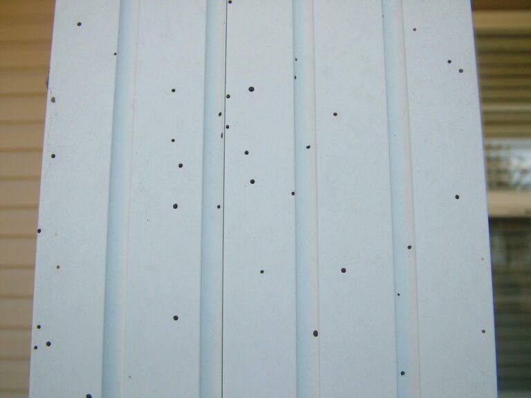 Artillery fungus spores on siding.