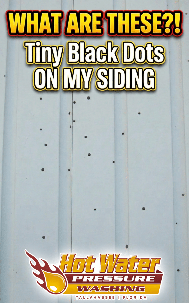 Cover art for blog post, text that reads "WHAT ARE THESE?! Tiny Black Dots ON MY SIDING."
