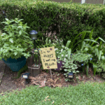 Sign in garden that says, I'm so happy I wet my plants