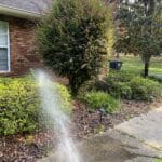 Rinsing Plants and Landscape