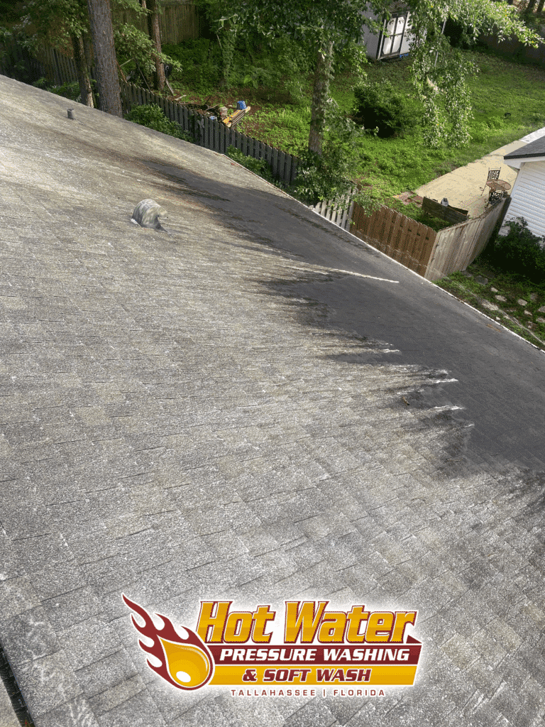 Close-up of a shingle roof in Killearn Lakes, Tallahassee, Florida, showing significant algae growth being actively removed by a professional soft washing process.