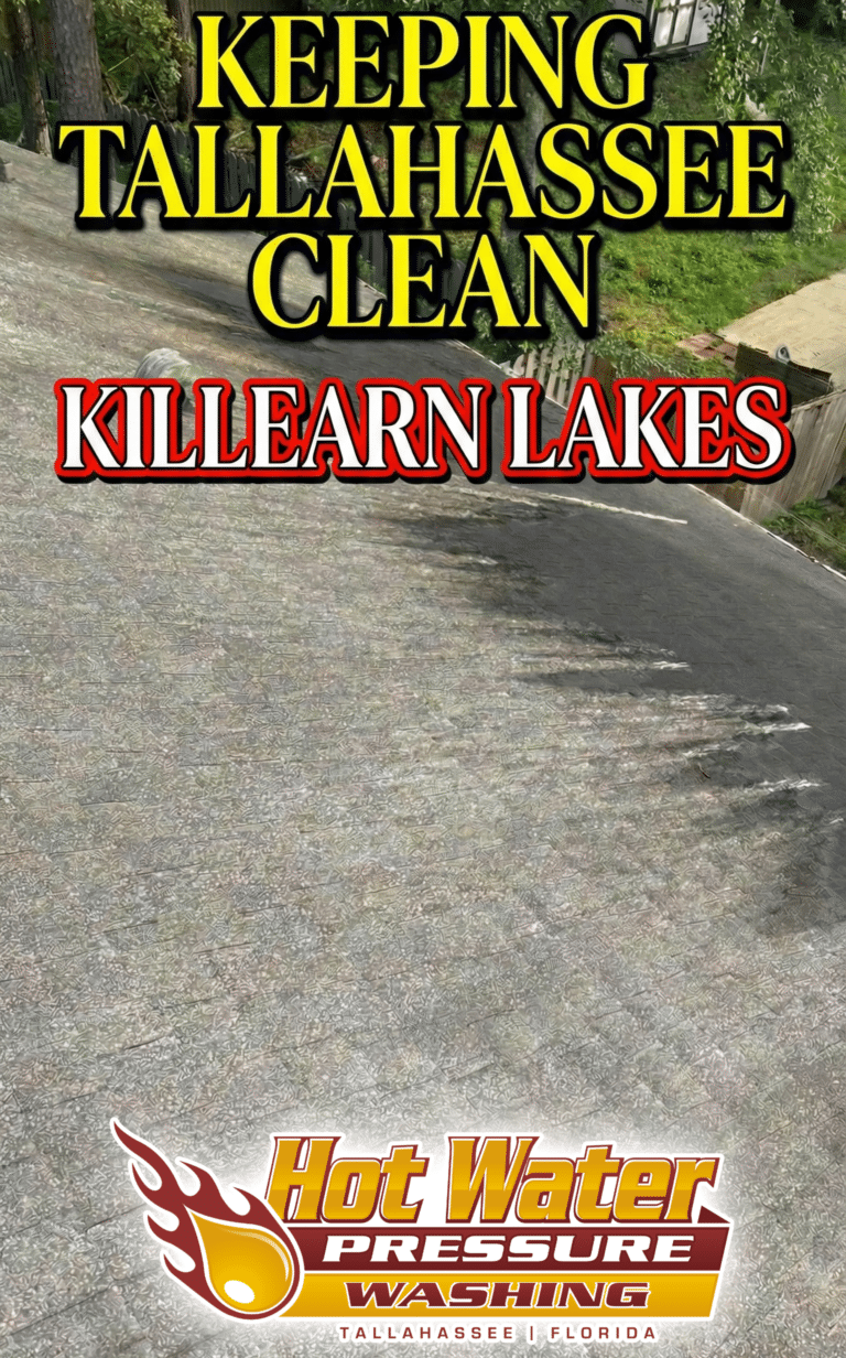 Cover art for blog post, text that reads "KEEPING TALLAHASSEE CLEAN KILLEARN LAKES."
