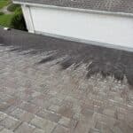 An up-close photo showing our soft wash solution safely removing black algae streaks (Gloeocapsa magma) from asphalt shingles during a roof cleaning in Tallahassee.