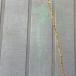 Close-up of light blue painted siding showing a chemical reaction where the paint has turned a bright fluorescent green color after reacting with bleach from a soft wash solution.