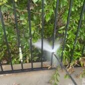Remove Lichen from a Painted Metal Fence