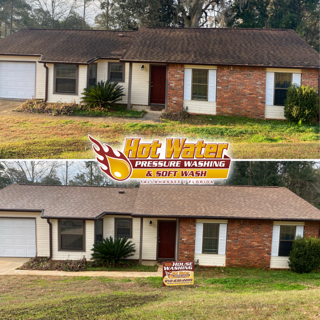 Roof Shingle Cleaning Tallahassee