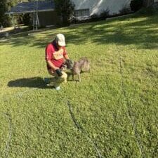 Nick Loomis, owner of Hot Water Pressure Washing, petting a customer's dog at a safe distance to demonstrate pet safety during a house wash.