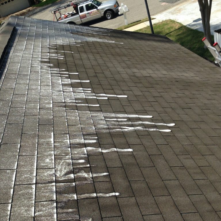Roof Cleaning Tallahassee FL
